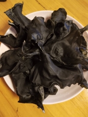 烘干海带头