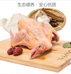 腌制鸽子块 500g/只 2只