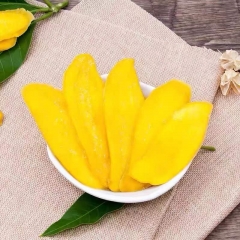 特产芒果干500g蜜饯果新脯果肉水果干鲜美芒果片零食
