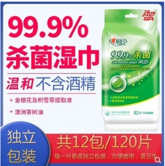 120片心相印99.9%灭菌消毒湿巾独立包装小包便携式杀菌学生湿纸巾