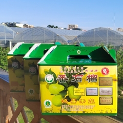 鸿湖牌番石榴（芭乐）