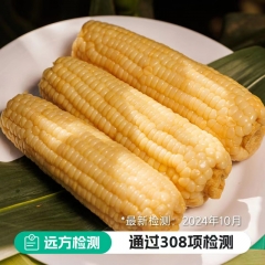 来自黑龙江黑土地的甜糯玉米 甜糯玉米 黄金甜糯玉米段16段2080g/箱