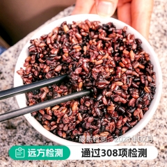 七色糙米 80g*10袋/份 一袋有七种米:糙米 黑米 燕麦米 血糯米 红米 葬麦米紫米