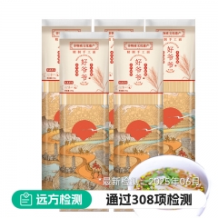 丝绸款袋装100g*5袋手工制作空心入味 爽滑筋道 耐煮易熟 主食挂面早餐速食面条 丝绸款袋装100