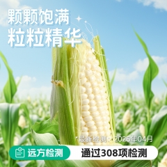 水果牛奶玉米 4斤普通装(5-8棒)