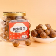 黄金果农夏威夷果480g