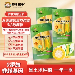 邻家饭香 东北鲜食黄糯玉米 1600g(200g* 8穗/盒) LJFX72-Y