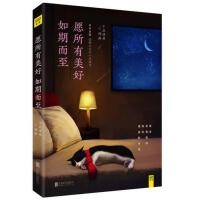 愿所有美好如期而至