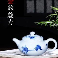 壶的魅力省级工艺美术大师曾映雪白瓷手绘茶壶